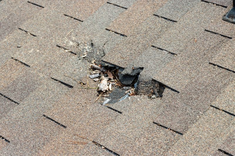 Roof Reshingling in Fredericksburg, VA
