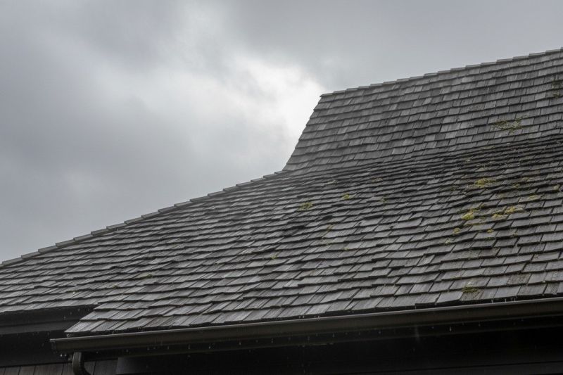 Wood Shake Roof Replacement in Fredericksburg, VA
